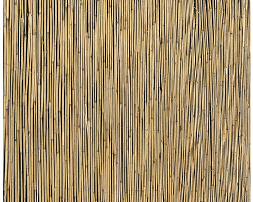 Sichtschutzmatte Schilfrohr 600 x 140 cm Bambusmatte als Sichtschutz