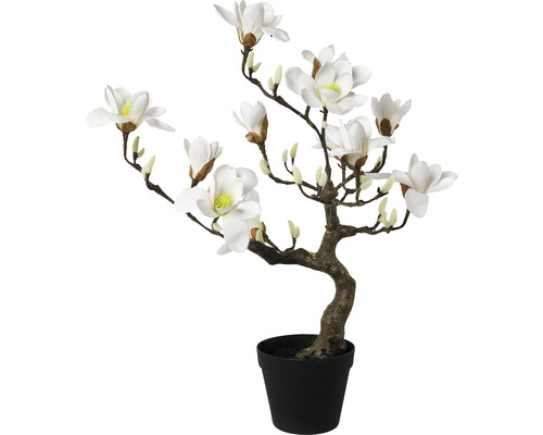 Kunstpflanze Magnolienbaum H 71 cm weiss
