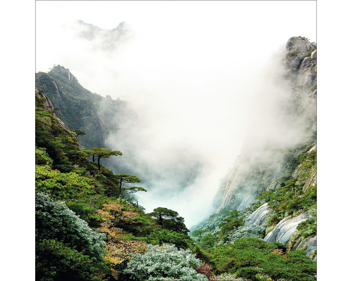 Berglandschaft mit Nebel und Vegetation