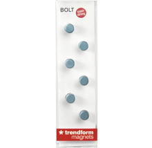 Sechs runde Magnete im Karton