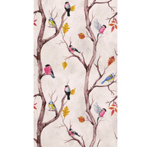 Fototapete Vlies 38230-1 The Wall Vogelmotiv Aquarell 3-tlg. 159 x 280 cm