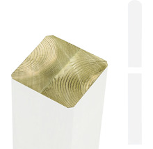 Holzbalken im Querschnitt