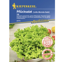 Schnittsalat/Pflücksalat 'Vili' Kiepenkerl Salatsamen-thumb-0