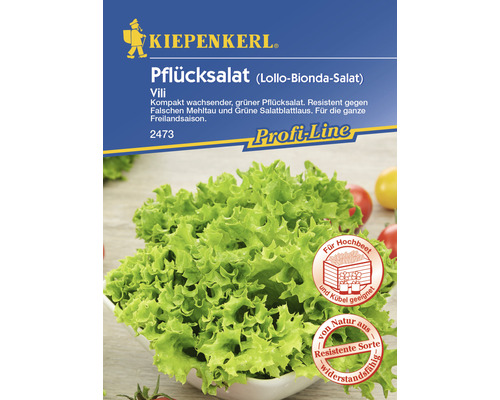 Schnittsalat/Pflücksalat 'Vili' Kiepenkerl Salatsamen-0