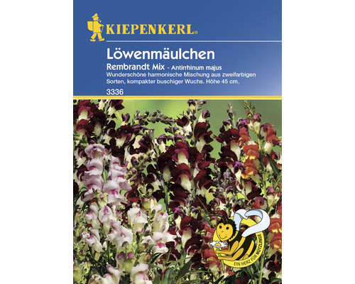 Löwenmäulchen 'Rembrandt' Kiepenkerl Blumensamen-0