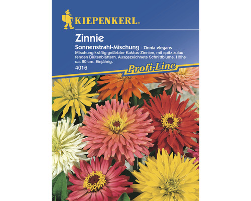 Blumensamen Kiepenkerl Zinnie 'Sonnenstrahl-Mischung'