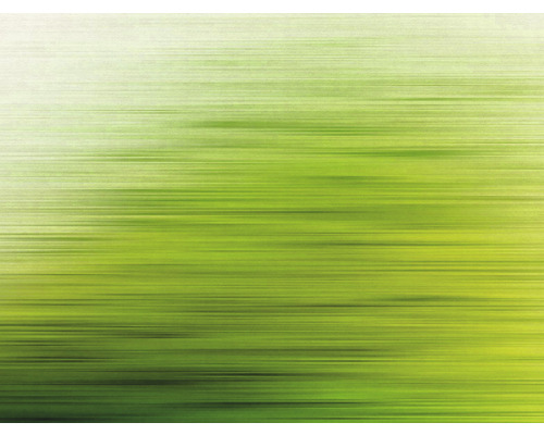 Fototapete Vlies 38261-1 The Wall Farbverlauf grün 7-tlg. 371 x 280 cm