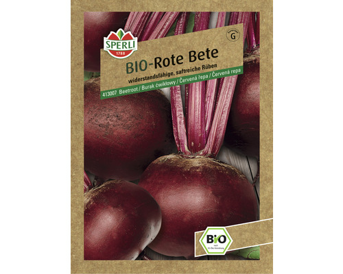 Rote Beete Rote Kugel 2/Sturoman Sperli Hybrid-Saatgut Gemüsesamen
