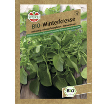 Bio Winterkresse Samenpackung