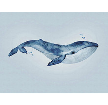 Illustration eines Wals