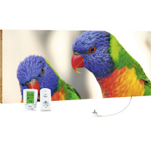 Infrarotheizung mit Vogelmotiv, Thermostat und Funksteckdose