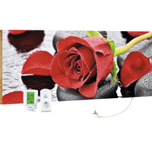 Infrarotheizung mit Rosenmotiv, Thermostat und Funksteckdose