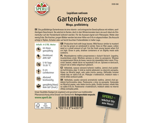 Samenpackung Gartenkresse Mega, großblättrig