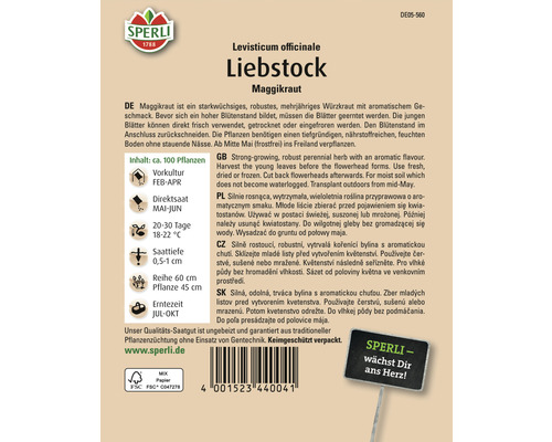 Sperli Liebstock Maggikraut Samenpackung