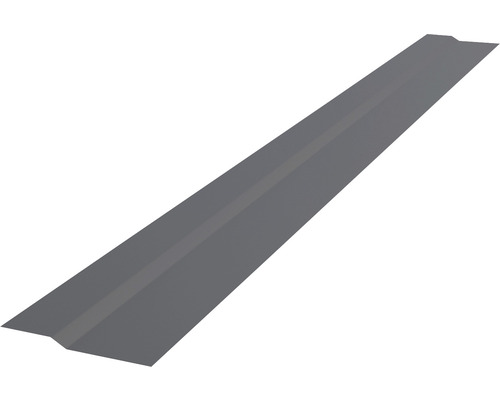 PRECIT flach abgekantetes Profil für Click Stripes Trapez Anthrazitgrau RAL 7016 2000 x 90 x 10 mm