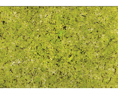 Detailaufnahme von Gartenteichfolie