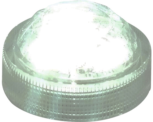 LED Lampe