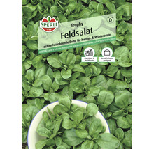 Feldsalat 'Trophy' Sperli Gemüsesamen