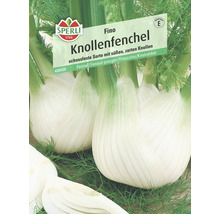 Sperli Fino Knollenfenchel Samenpackung