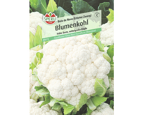 Blumenkohl 'Bola de Neve' Sperli Gemüsesamen