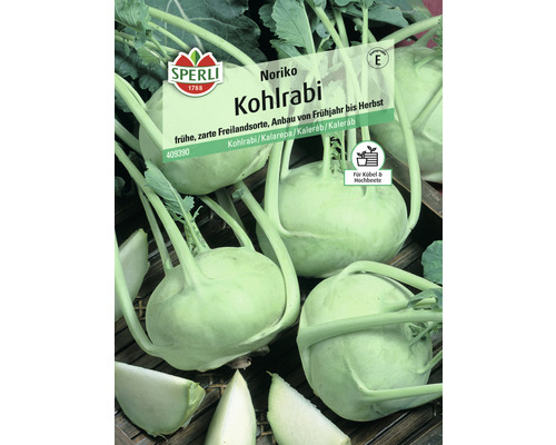Kohlrabi 'Noriko' Sperli Gemüsesamen
