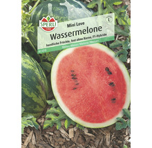 Wassermelone 'Mini Love' Sperli Gemüsesamen