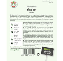 Sperli Gurke Libelle Saatgutpackung