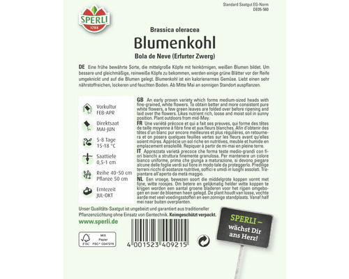 Samenpackung Blumenkohl Bola de Neve der Marke Sperli