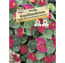 Samenpackung Kapuzinerkresse Baby Rose von Sperli