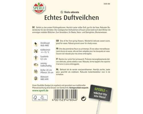 Samenpackung Echtes Duftveilchen von Sperli