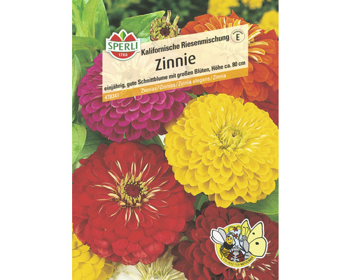 Zinnie 'Kalifornische Riesenmischung' Sperli Blumensamen