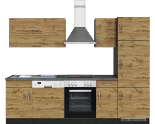 Komplette Küchenzeile mit Spüle, Geschirrspüler, Herd, Backofen, Dunstabzugshaube und Schränken