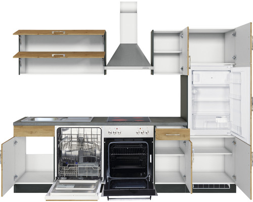 Moderne Küchenzeile mit Spüle, Geschirrspüler, Herd, Backofen, Dunstabzugshaube und Kühlschrank