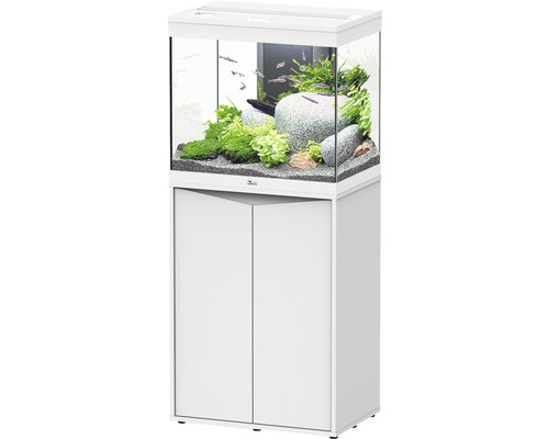 Acquario con Mobiletto - Splendid 240 Frassino Bianco 1 set