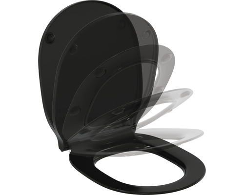 Toilettendeckel mit Absenkautomatik in geöffneter Position