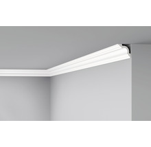 Profipack Deckenleiste D8, 6 x 6er Pack à 2 m, 50 x 50 mm