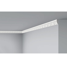 Wandleiste Z13 1 St. 2 m x 80 x 22 mm