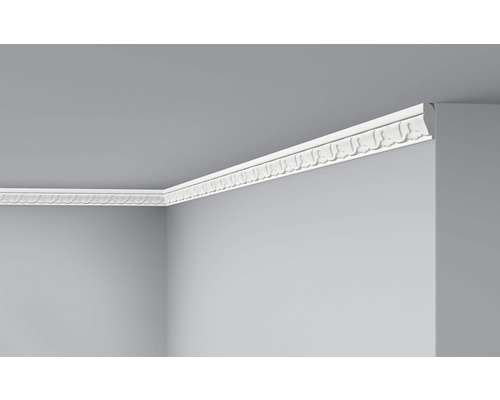 Wandleiste Z13 1 St. 2 m x 80 x 22 mm