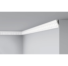 Profipack Deckenleiste E21, 21 x 2 m, 30 x 65 mm