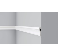 Profipack Wandleiste CO3,10 x 2 m, 20 x 75 mm