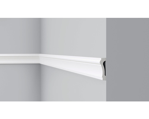 Profipack Wandleiste CO3,10 x 2 m, 20 x 75 mm