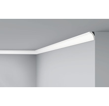 Wandleiste WD2 1 St. 2 m x 70 x 15 mm