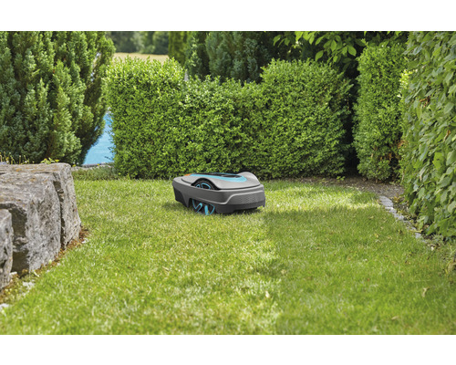 Rasenmähroboter auf Rasenfläche