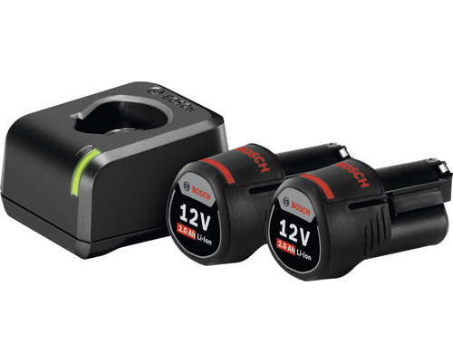 Bosch Akku Ladegerät mit zwei 12 Volt Akkus