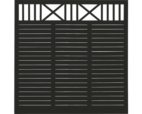 Hauptelement PLUS Nostalgi 180 x 180 cm RAL 9005 schwarz Sichtschutzzaun mit horizontalen Lamellen und dekorativem Gittermuster