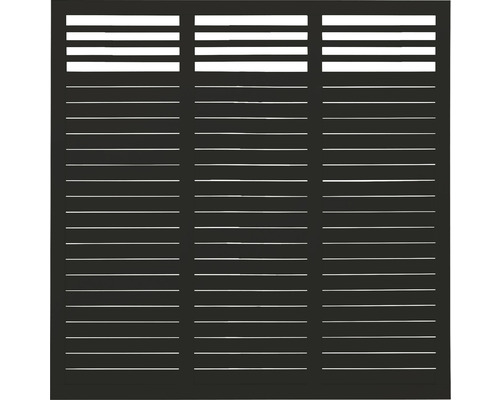Hauptelement PLUS Decora 180 x 180 cm RAL 9005 schwarz Sichtschutzzaun mit horizontalen Lamellen