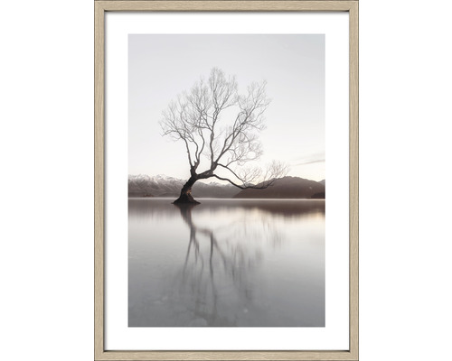 Gerahmtes Bild Tree in a lake II 53x73 cm Gerahmtes Bild eines Baumes im Wasser