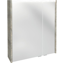 Spiegelschrank FACKELMANN Denver Oxford Hype 3.0 60 x 16 x 68.3 cm eiche natur 2-türig LED IP 20