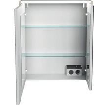 Spiegelschrank FACKELMANN Denver Oxford Hype 3.0 60 x 16 x 68.3 cm eiche natur 2-türig LED IP 20