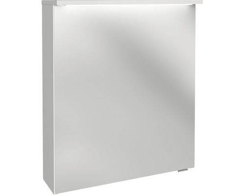 Spiegelschrank FACKELMANN Oxford 60.2 x 20 x 69.6 cm weiß 1-türig LED IP 20